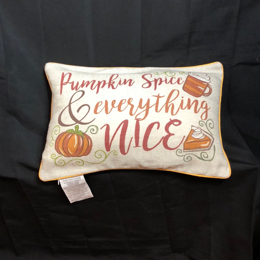 NWT Pillow Will accept offers. Happy Poshing